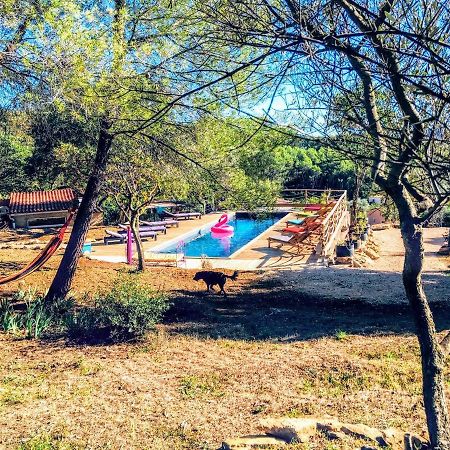 Arche De Noe Atypique, Boheme , Nature, Piscine Chauffee De Paques A Toussaint , Spa , Sauna , Loisirs Le Beausset Εξωτερικό φωτογραφία