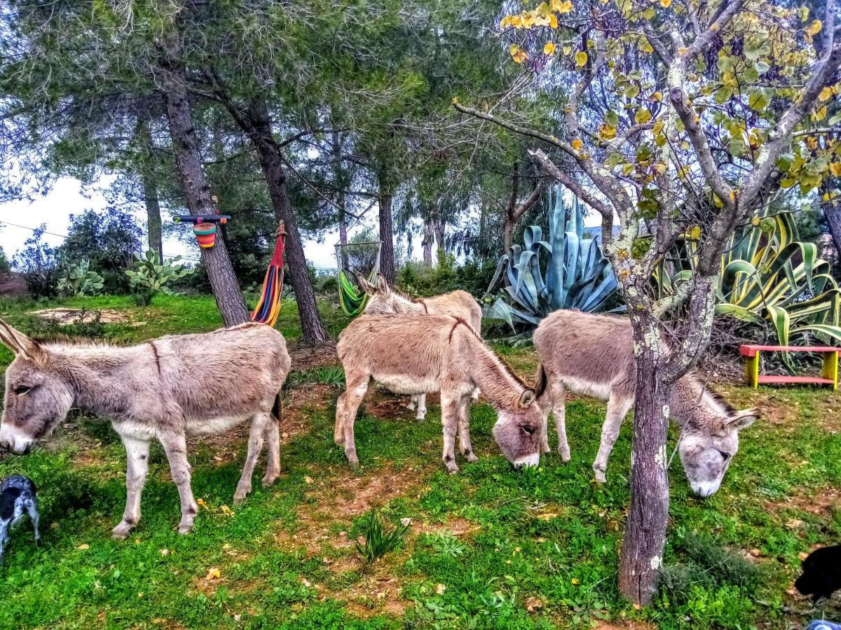 Arche De Noe Atypique, Boheme , Nature, Piscine Chauffee De Paques A Toussaint , Spa , Sauna , Loisirs Le Beausset Εξωτερικό φωτογραφία