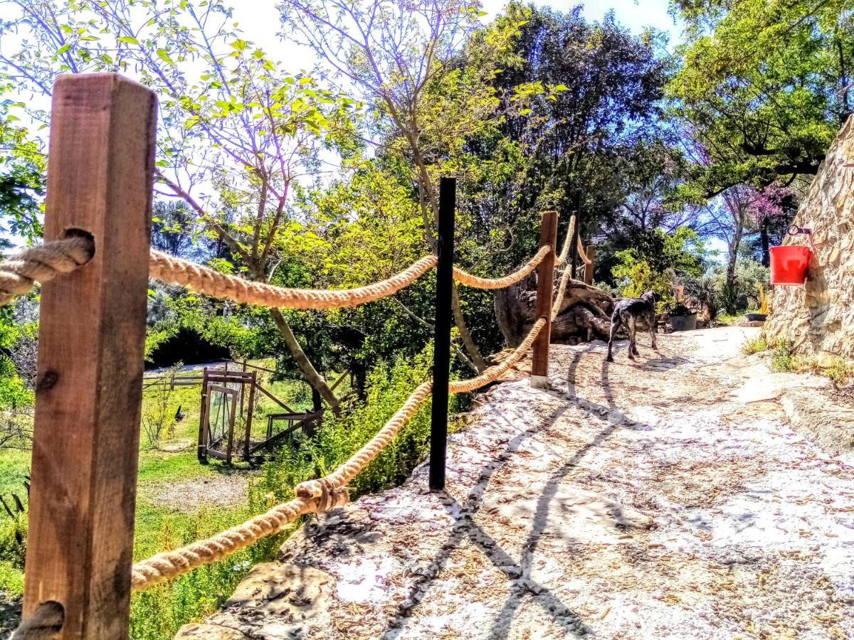 Arche De Noe Atypique, Boheme , Nature, Piscine Chauffee De Paques A Toussaint , Spa , Sauna , Loisirs Le Beausset Εξωτερικό φωτογραφία