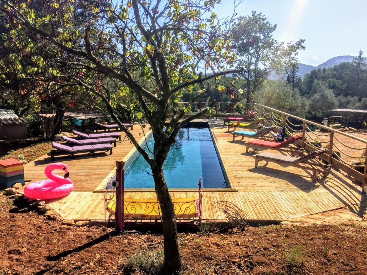 Arche De Noe Atypique, Boheme , Nature, Piscine Chauffee De Paques A Toussaint , Spa , Sauna , Loisirs Le Beausset Εξωτερικό φωτογραφία