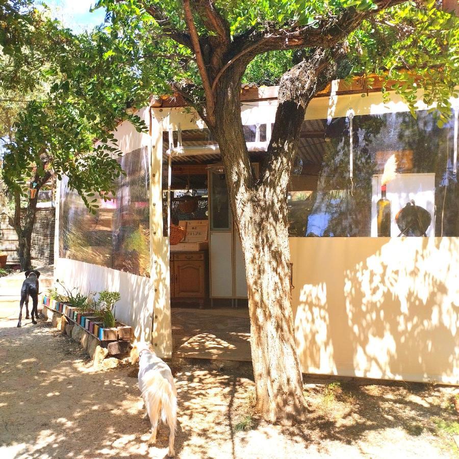 Arche De Noe Atypique, Boheme , Nature, Piscine Chauffee De Paques A Toussaint , Spa , Sauna , Loisirs Le Beausset Εξωτερικό φωτογραφία