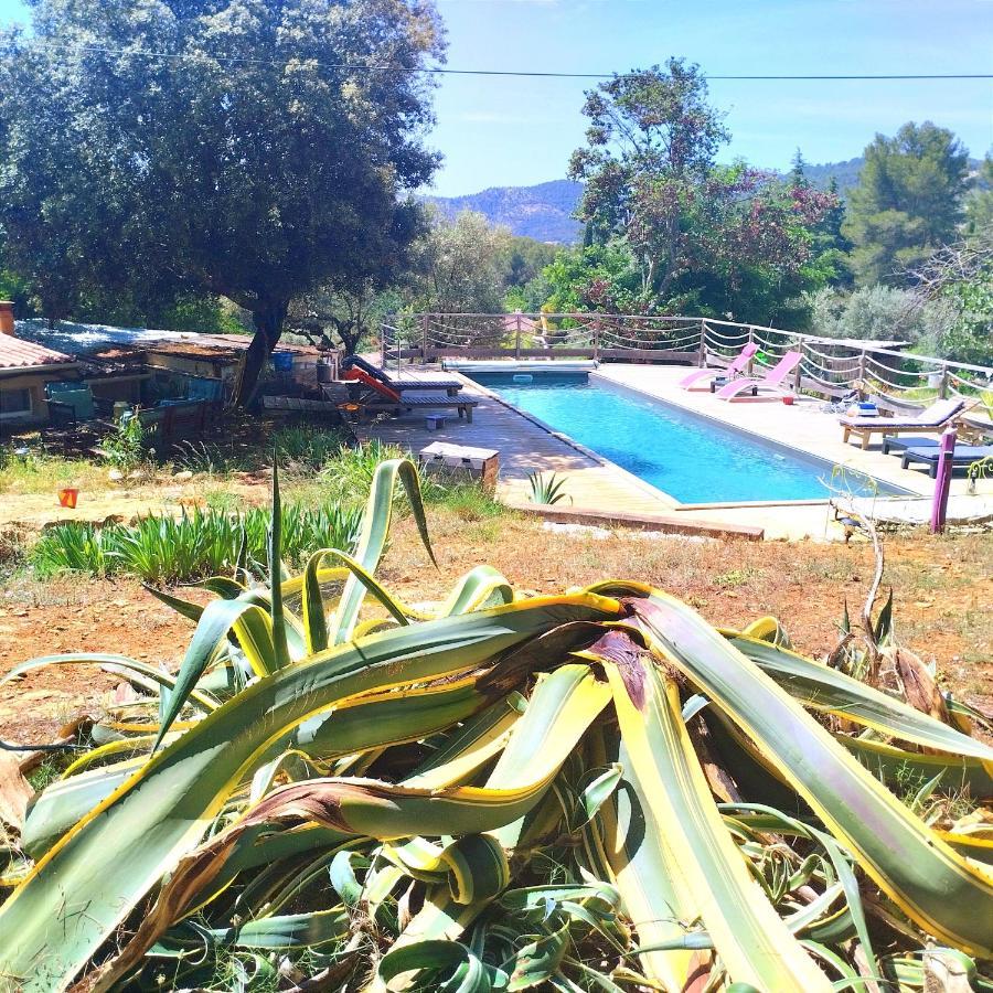 Arche De Noe Atypique, Boheme , Nature, Piscine Chauffee De Paques A Toussaint , Spa , Sauna , Loisirs Le Beausset Εξωτερικό φωτογραφία